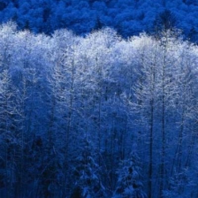 Basic English Grammar – MOST, ALMOST, or ALMOST ALL? · engVid